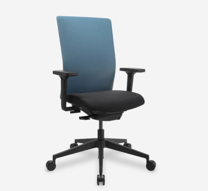 Bürodrehstuhl ErgoWork